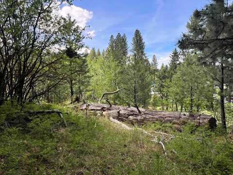 T75 LI Cabarton Road unit: Part I, Cascade, ID 83611