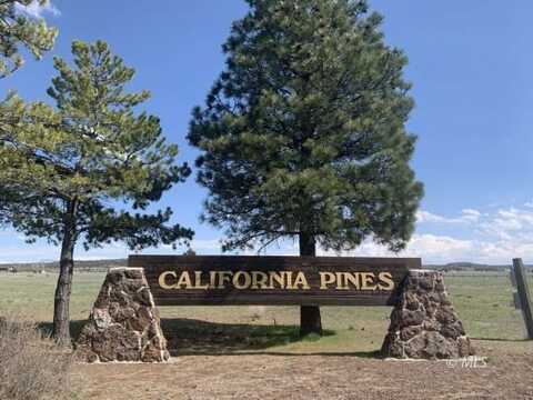 Highlands Rd, Alturas, CA 96101