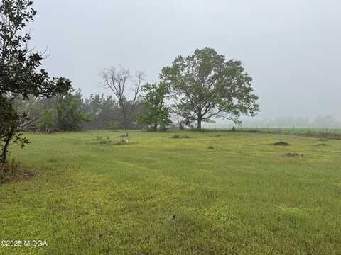 0 Smyrna Road, Uvalda, GA 30473