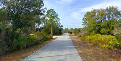 0 COUNTY RD 453, CEDAR KEY, FL 32625