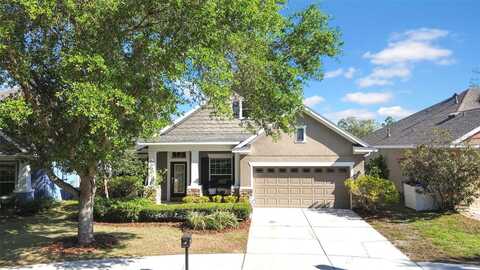 15861 STARLING WATER DRIVE, LITHIA, FL 33547
