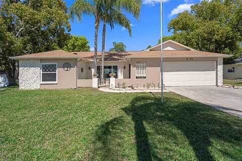 8133 PAGODA DRIVE, SPRING HILL, FL 34606
