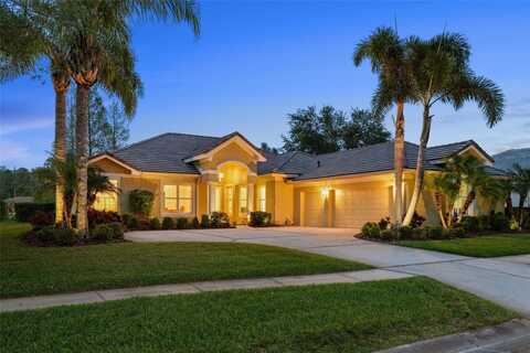 11815 MARBLEHEAD DRIVE, TAMPA, FL 33626
