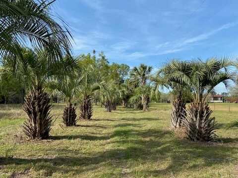 23206 NW 102ND AVENUE, ALACHUA, FL 32615