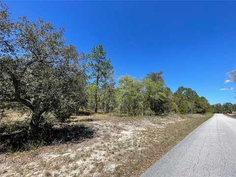 SW FIG TREE LANE, DUNNELLON, FL 34431