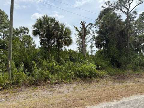557 NAPLES AVENUE S, LEHIGH ACRES, FL 33974