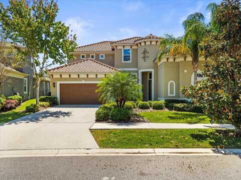 14209 QUINTESSA LANE, LITHIA, FL 33547