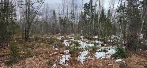 0000 Route 2, Greenbush, ME 04418
