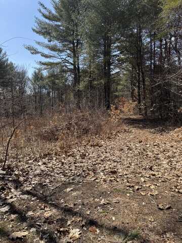 Tbd Pine Hill Road, Casco, ME 04015