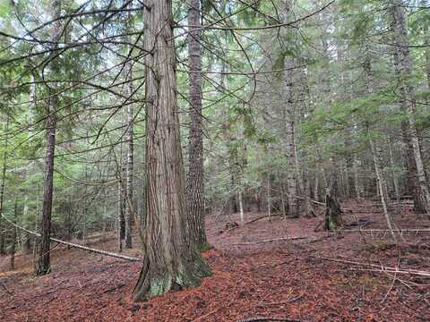 Elk Heights Lane lot: A-4, Heron, MT 59844