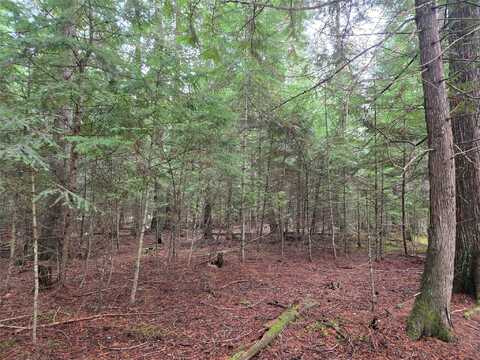 Elk Heights Lane lot: A-1, Heron, MT 59844