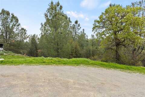 7224 Crazy Horse Ridge, Corning, CA 96021