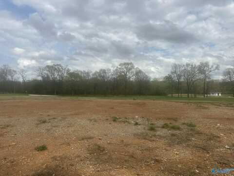 23259 Sawgrass Drive, Athens, AL 35613