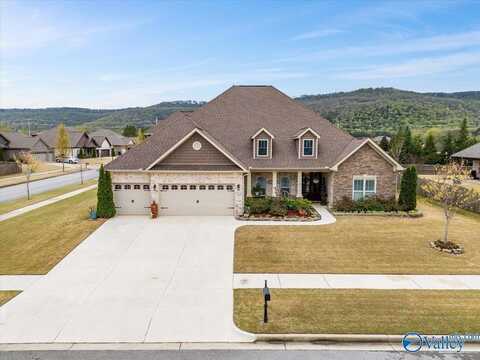 7602 Stillhaven Court, Owens Cross Roads, AL 35763