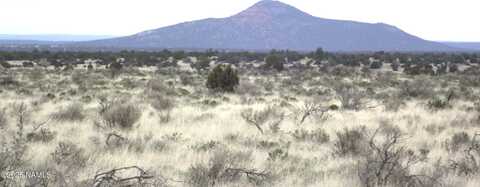 2424 E Valle Road, Williams, AZ 86046