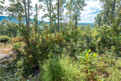 Highgrove Drive, Talking Rock, GA 30175