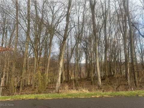 Santee Trail, Malvern, OH 44644