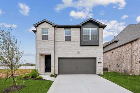 1217 Cristiano Drive, Anna, TX 75409