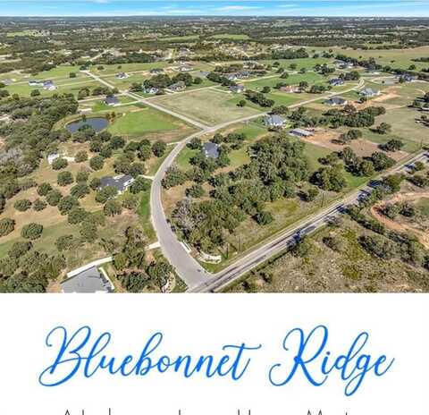 3027 Wyatts Way, Weatherford, TX 76087