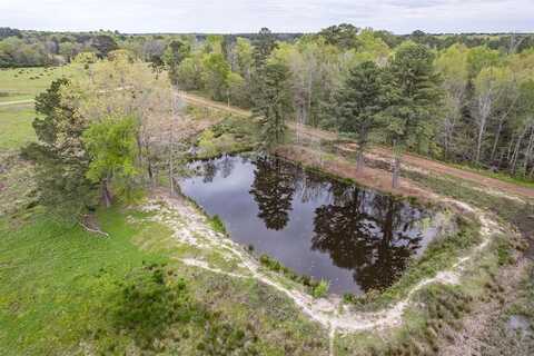 1600 Crocus Road, Gilmer, TX 75645