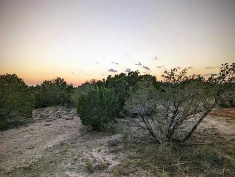 1199 CR 407, Nemo, TX 76070