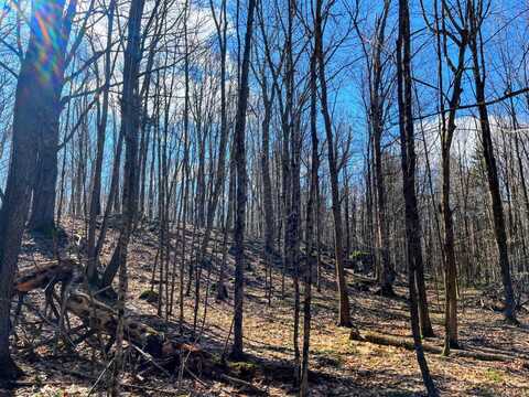 366 Fullerville Rd, Harrisville, NY 13648