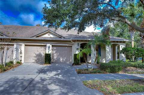 6801 LOCKINGTON COURT, TAMPA, FL 33625