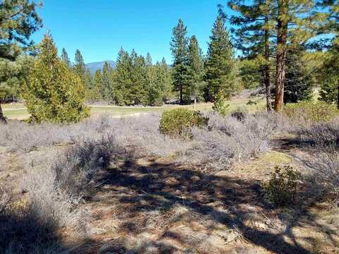 928 Red Sky, Portola, CA 96122
