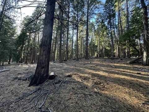 673 E Mountain Ridge Road, Lake Almanor, CA 96137