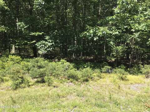 1301 Dewberry Drive, Hawley, PA 18428