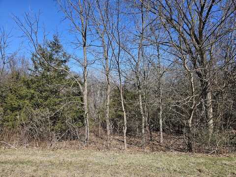 1 Lake Ridge Road, GALENA, IL 61036