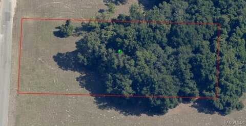 2957 N Anthony Avenue, Hernando, FL 34442
