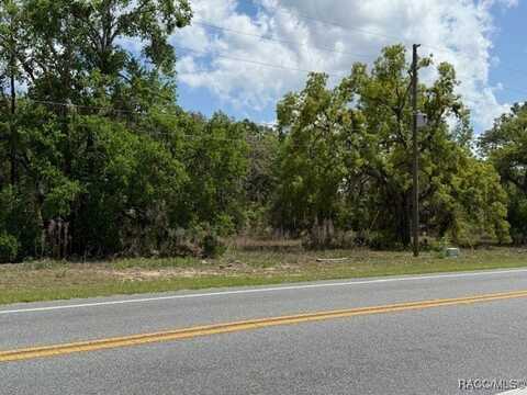 8655 S Florida Avenue, Floral City, FL 34436