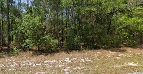 8566 N Spikes Way, Dunnellon, FL 34434