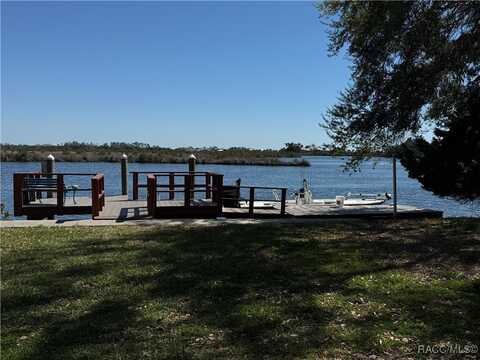 11996 W Bald Eagle Court, Crystal River, FL 34429
