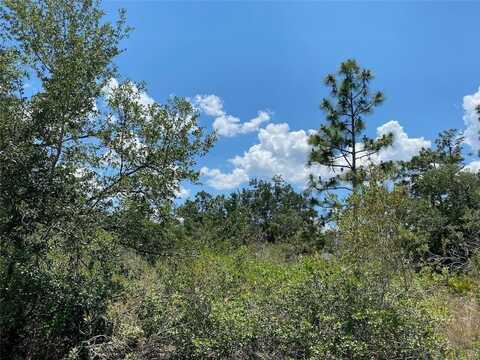 Lot 24 Indian Lake Drive, Indian Lake Estates, FL 33855