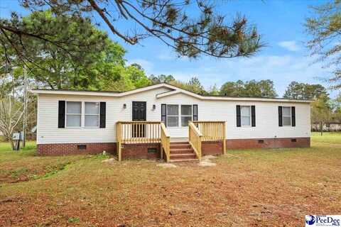 1207 Sally Circle, Lake View, SC 29563
