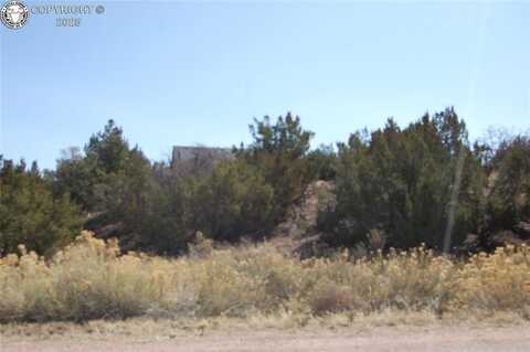 206 Greenhorn Drive, Canon City, CO 81212