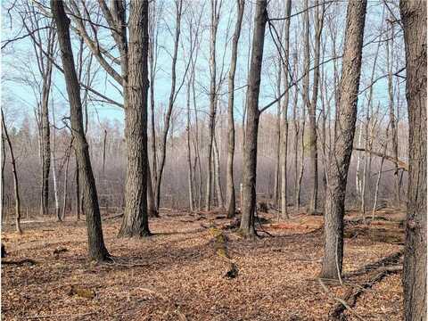241xx Thames Street NE, East Bethel, MN 55079