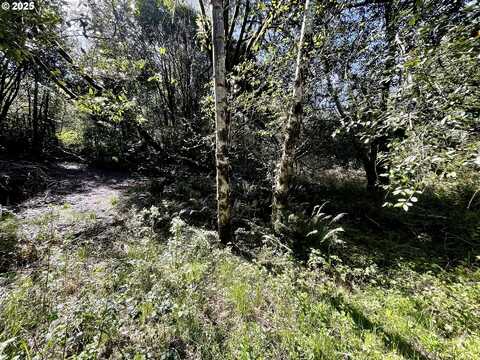 Campbell RD, Brookings, OR 97415