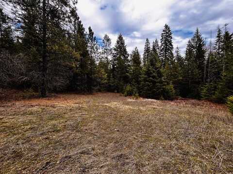 1776 Horseshoe Lake Rd, Deer Park, WA 99006