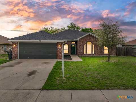 3102 Bachelor Button Boulevard, Killeen, TX 76549