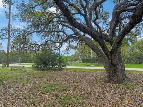 237 Toucan Drive, Spring Branch, TX 78070