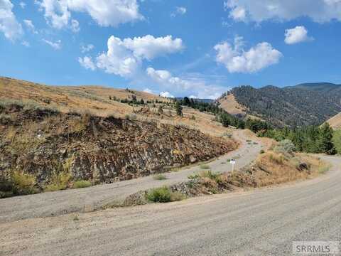 Nkn Oliver Drive, Salmon, ID 83467