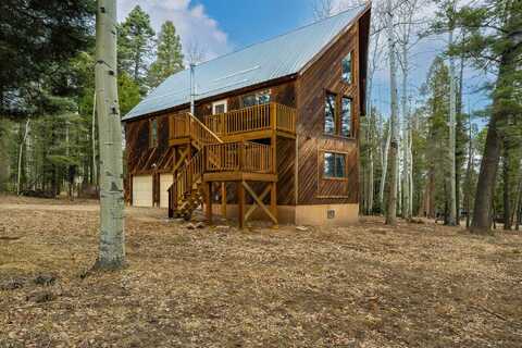 310 Via del Rey, Angel Fire, NM 87710