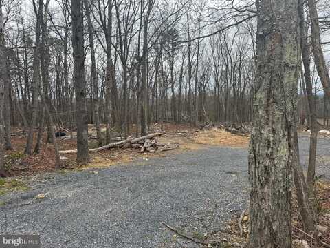 BLUEBIRD TRAIL, WINCHESTER, VA 22602