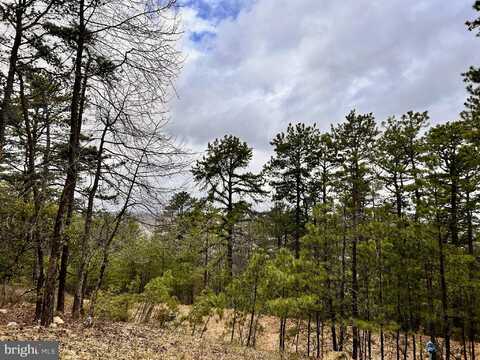 Lot 82 DOE GARDEN DRIVE, YELLOW SPRING, WV 26865
