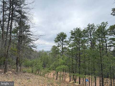 Lot 82 DOE GARDEN DRIVE, YELLOW SPRING, WV 26865
