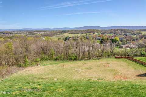 125 Simmons Ridge, Johnson City, TN 37604
