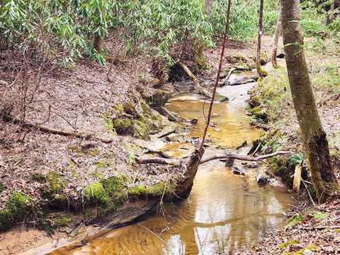 16.09 Ac Crockett Cemetery Road, Jamestown, TN 38556